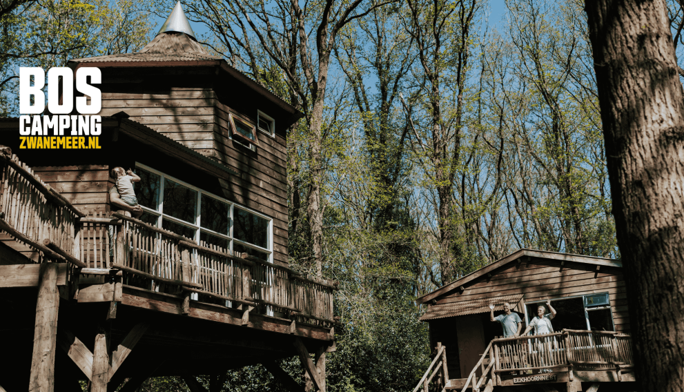 header_banner_image
